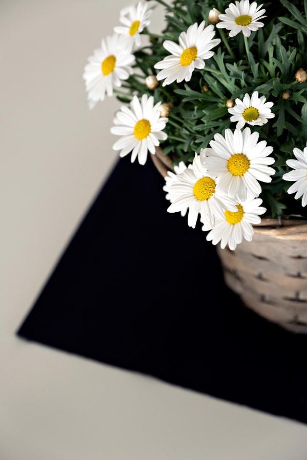 וירג'יו Casa Primavera מראה חיצוני תמונה